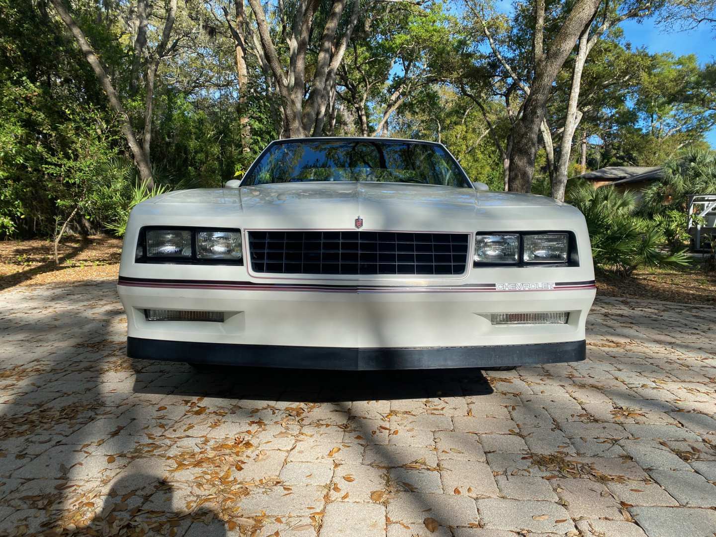 6th Image of a 1985 CHEVROLET MONTE CARLO