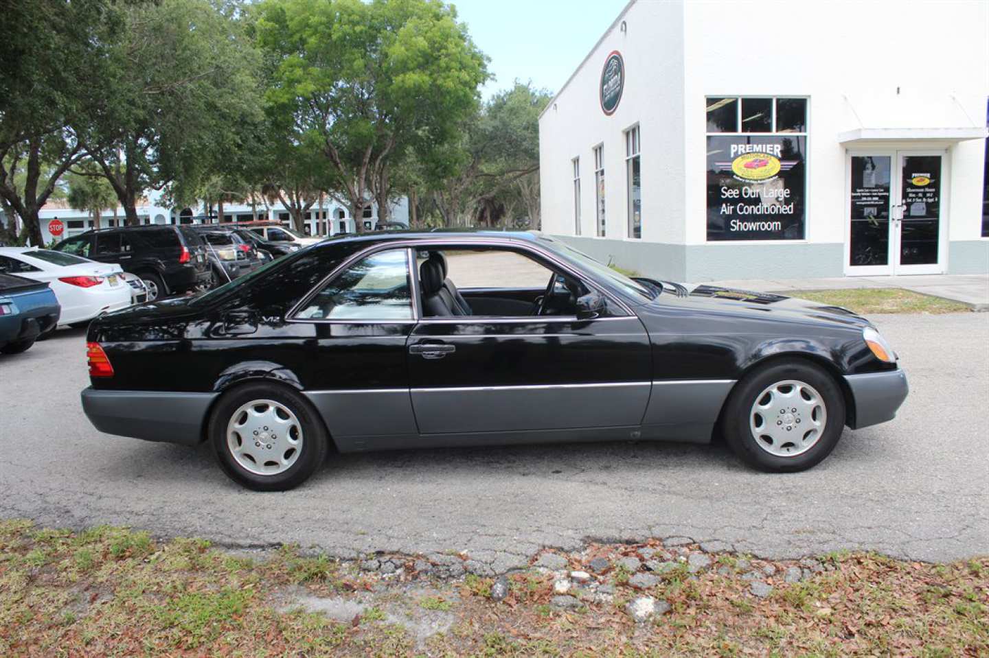 8th Image of a 1996 MERCEDES-BENZ S-CLASS S600