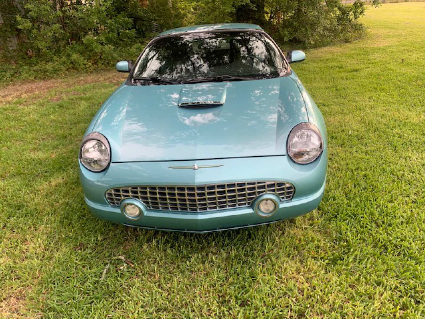 2nd Image of a 2002 FORD THUNDERBIRD