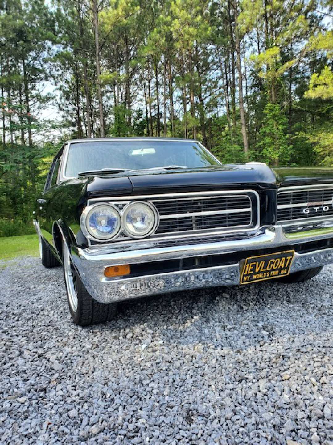 0th Image of a 1964 PONTIAC GTO