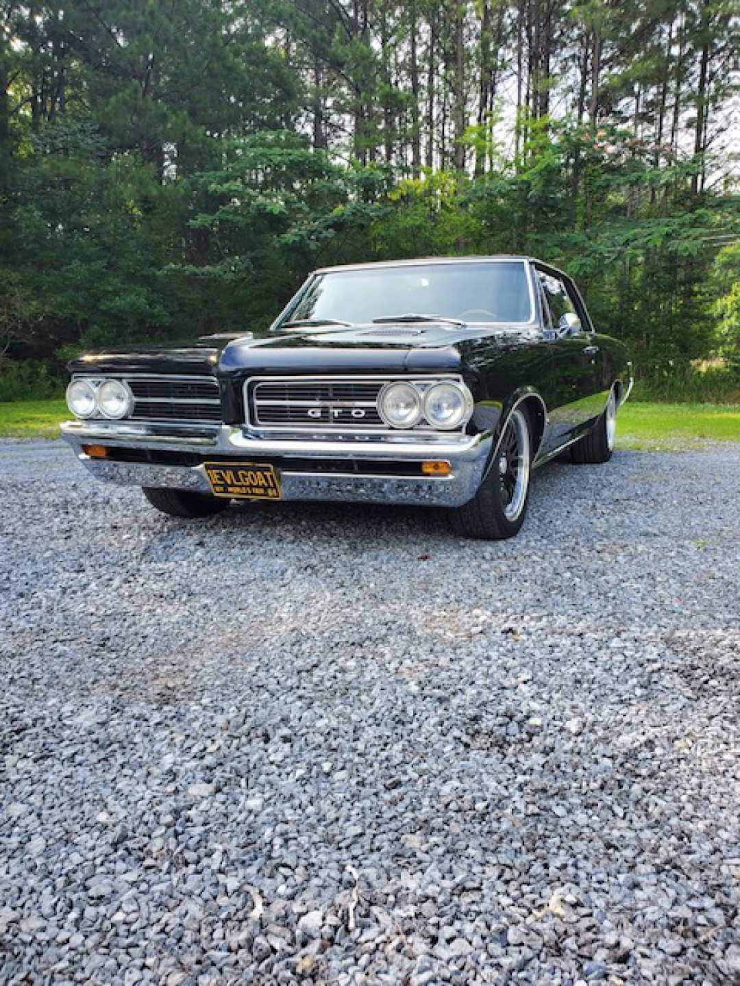 2nd Image of a 1964 PONTIAC GTO