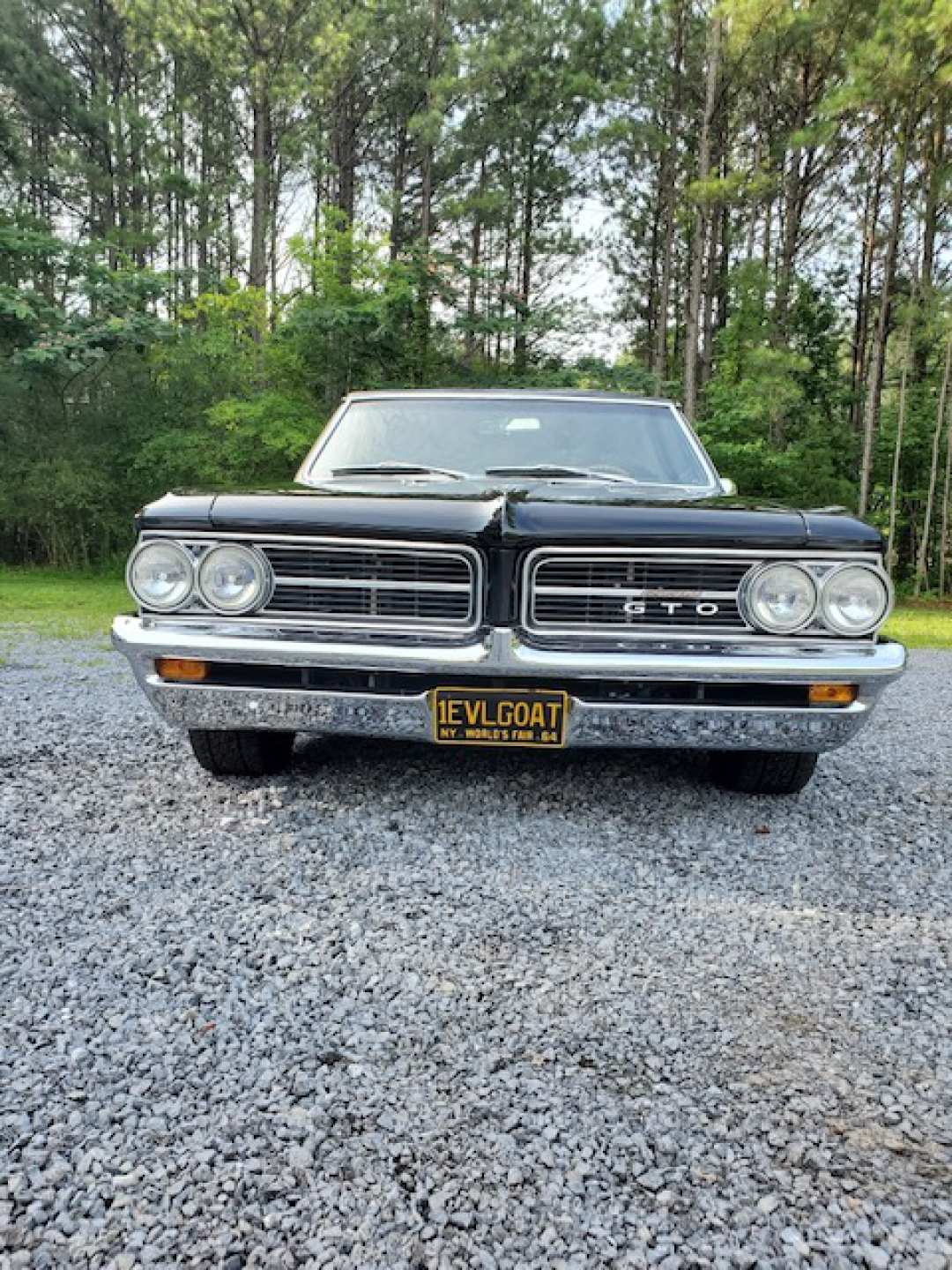 8th Image of a 1964 PONTIAC GTO