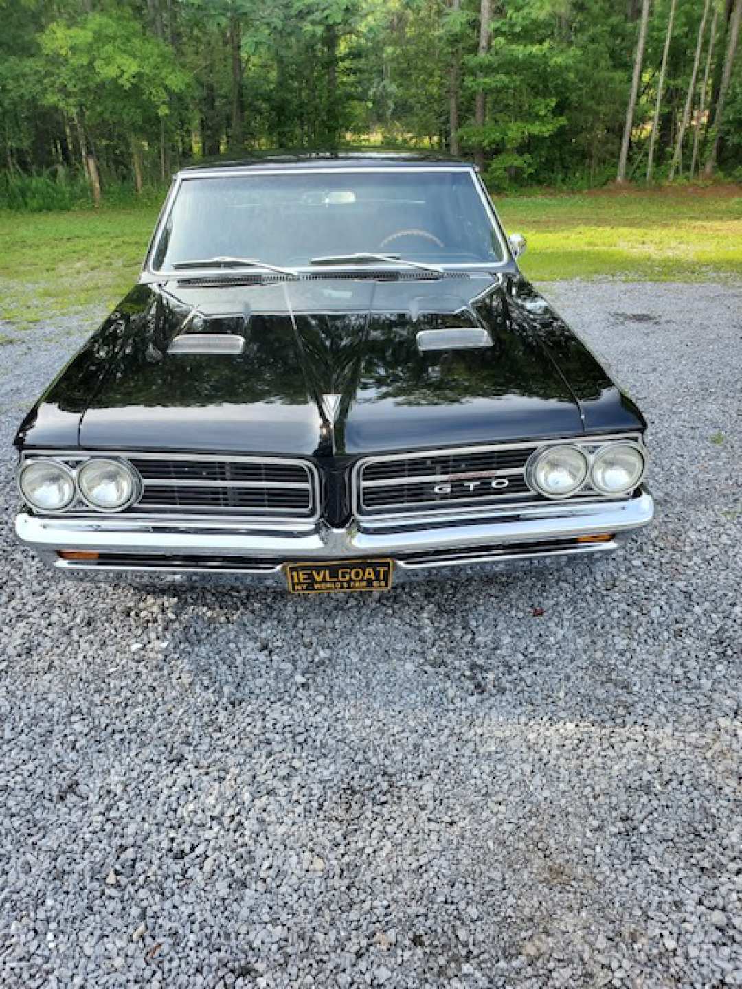 9th Image of a 1964 PONTIAC GTO