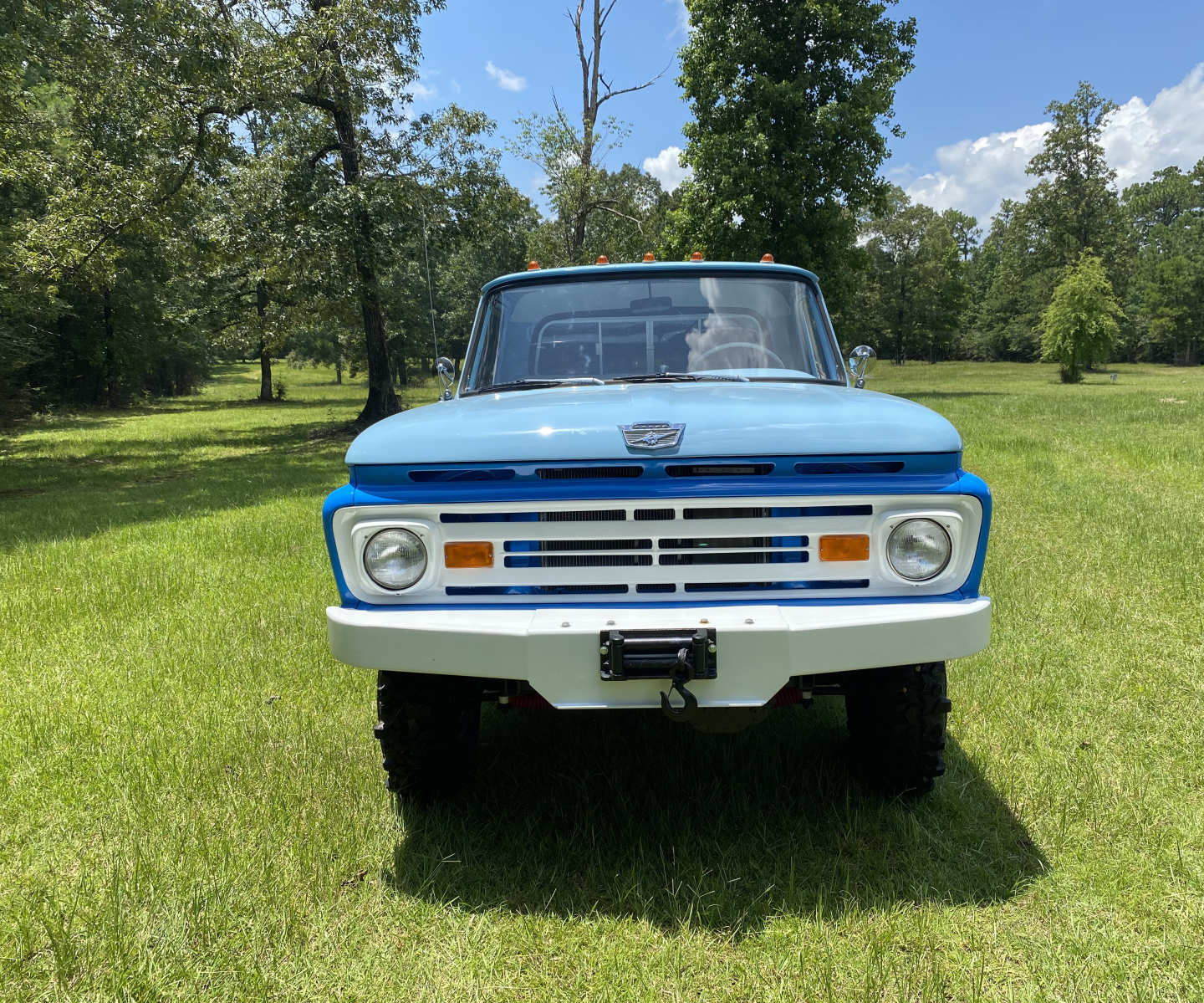 19th Image of a 1962 FORD F250