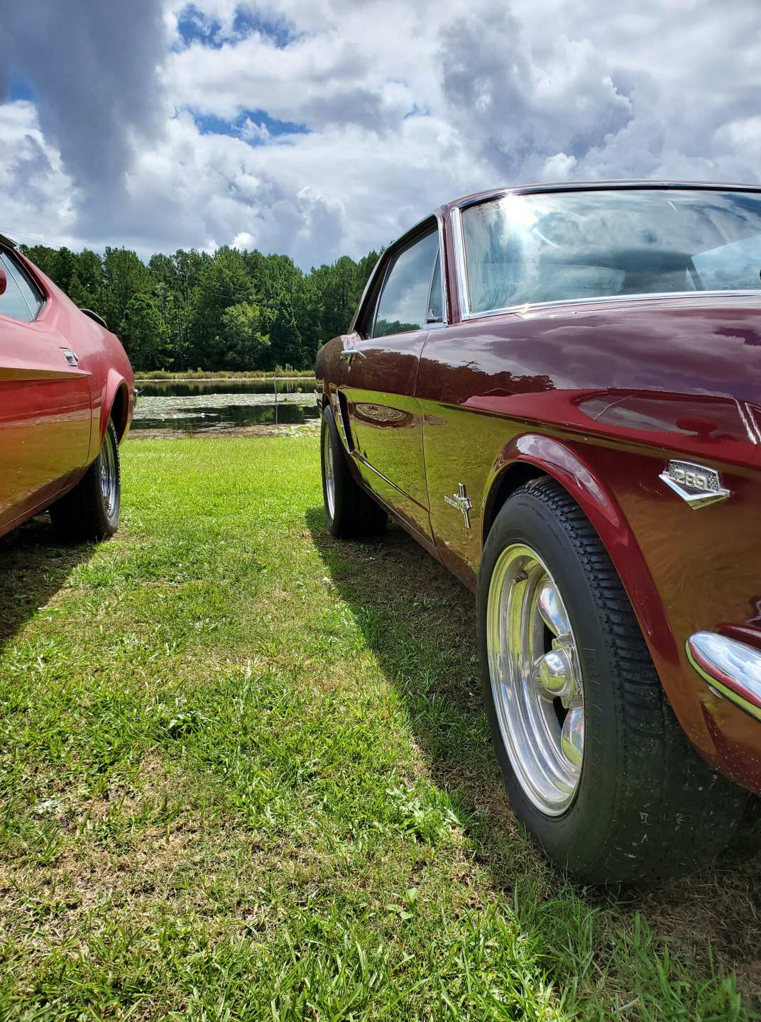 4th Image of a 1965 FORD MUSTANG