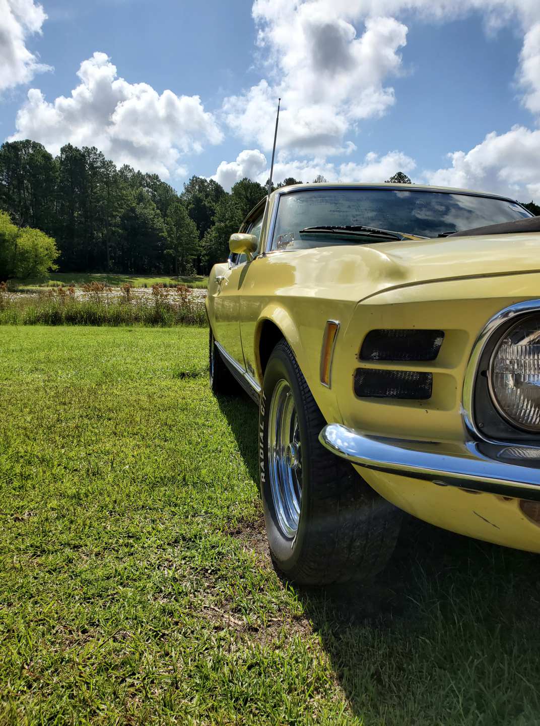 3rd Image of a 1970 FORD MUSTANG MACH I