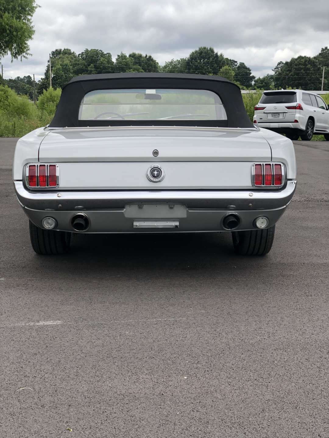 2nd Image of a 1965 FORD MUSTANG