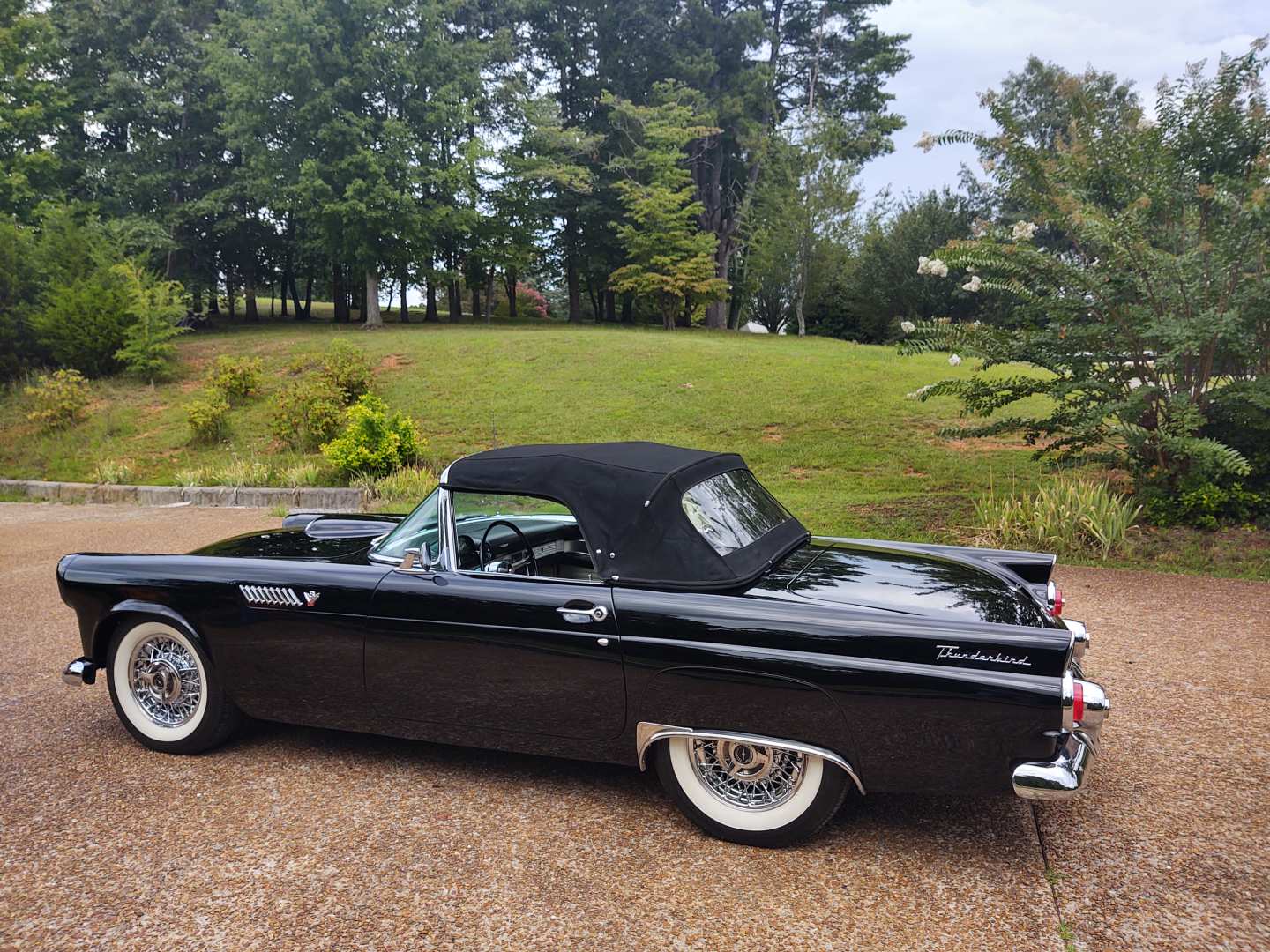 5th Image of a 1955 FORD THUNDERBIRD