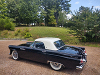 Image 8 of 21 of a 1955 FORD THUNDERBIRD