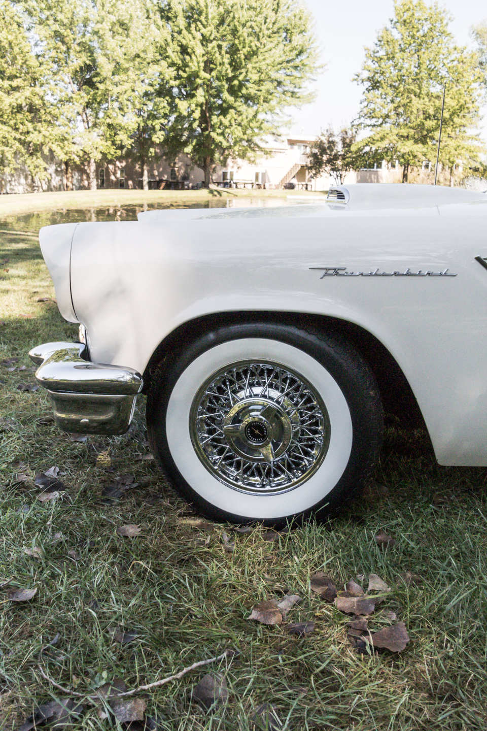 6th Image of a 1957 FORD THUNDERBIRD
