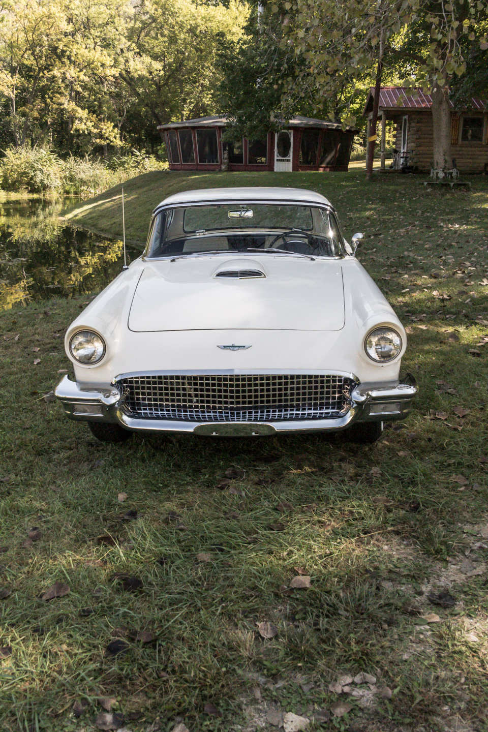 8th Image of a 1957 FORD THUNDERBIRD