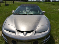 Image 3 of 14 of a 1999 PONTIAC TRANS AM