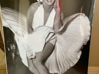 Image 1 of 1 of a N/A MARILYN MONROE PICTURE