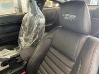 Image 7 of 9 of a 2008 FORD MUSTANG SHELBY GT500