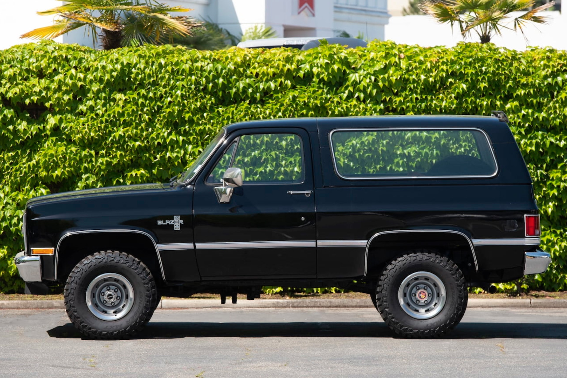 11th Image of a 1985 CHEVROLET BLAZER 1/2 TON; K5/K10