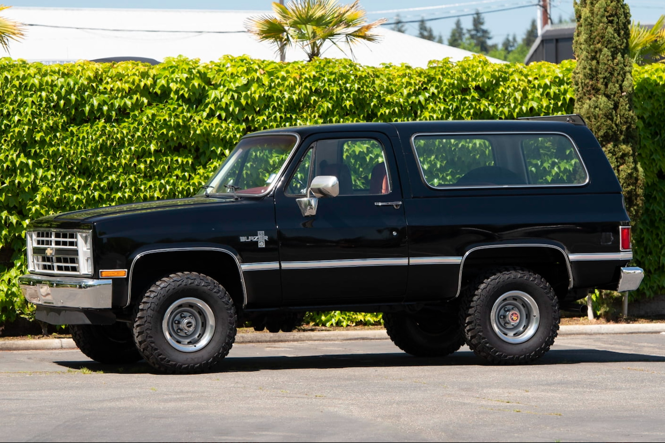 12th Image of a 1985 CHEVROLET BLAZER 1/2 TON; K5/K10