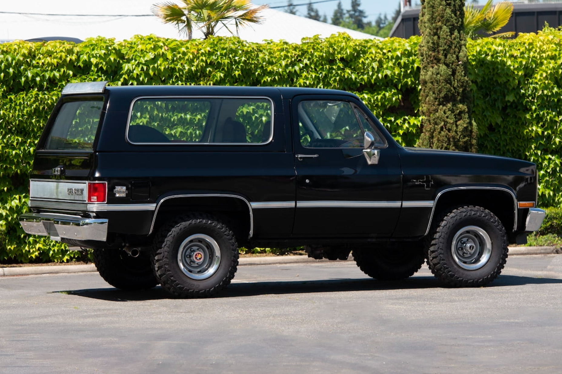 14th Image of a 1985 CHEVROLET BLAZER 1/2 TON; K5/K10