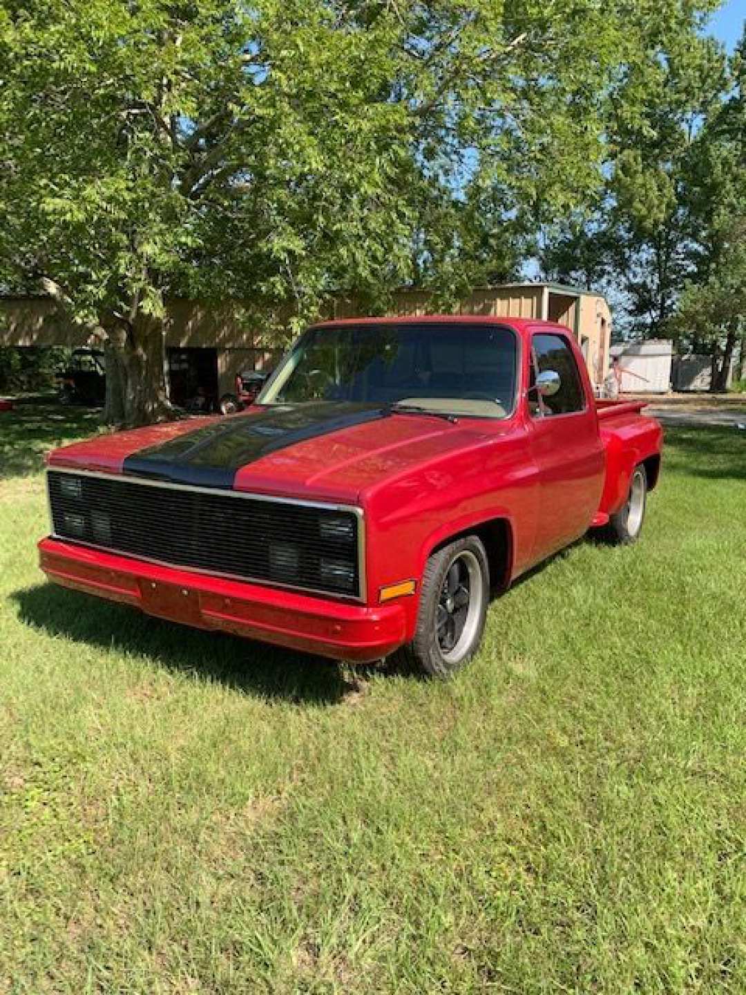 0th Image of a 1981 CHEVROLET C10