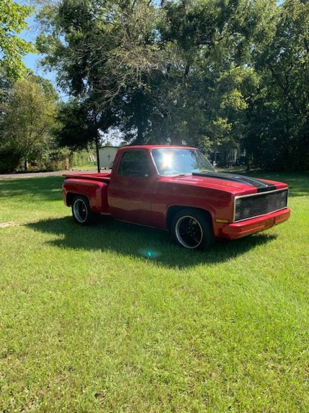 5th Image of a 1981 CHEVROLET C10
