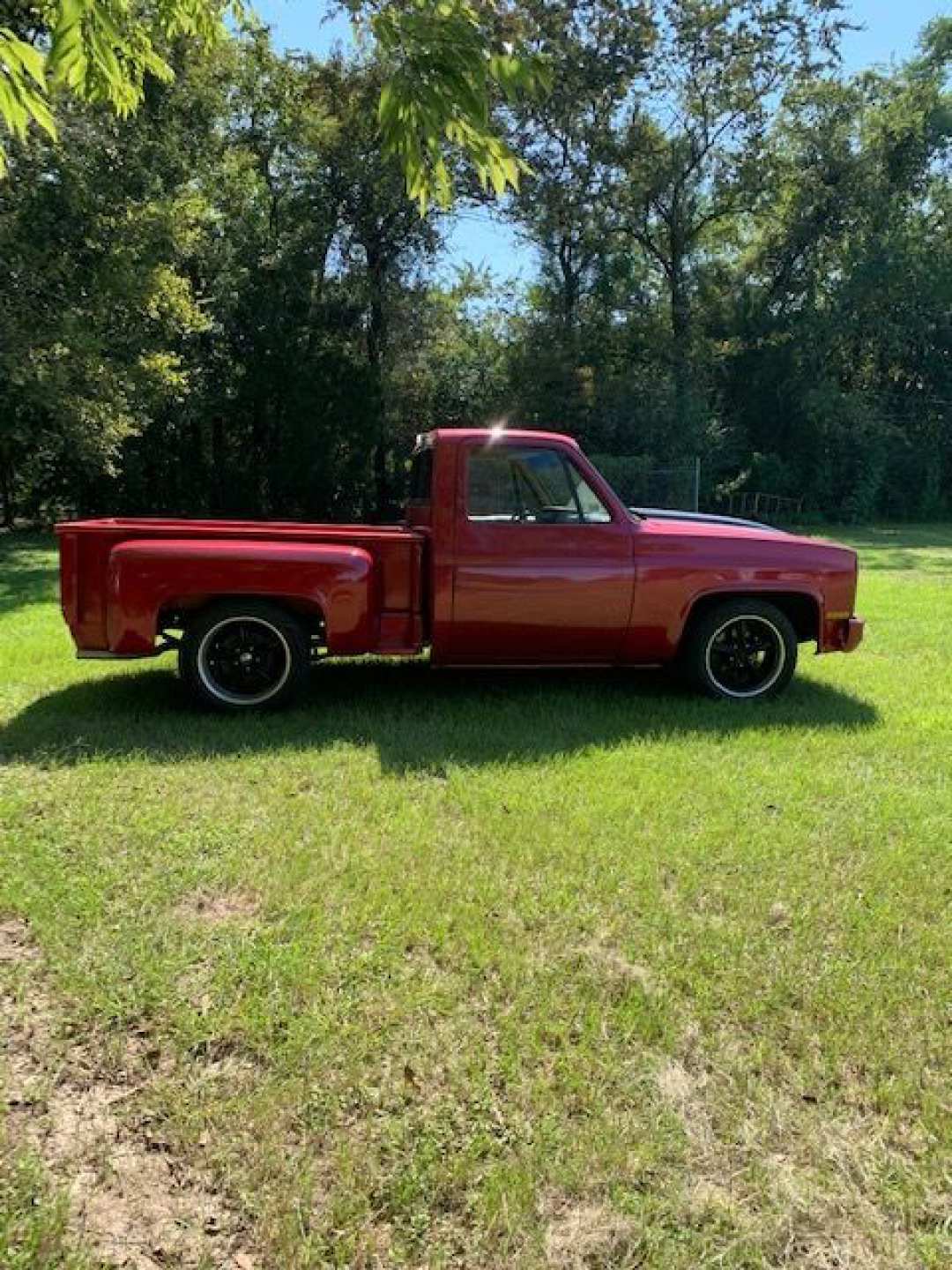 6th Image of a 1981 CHEVROLET C10