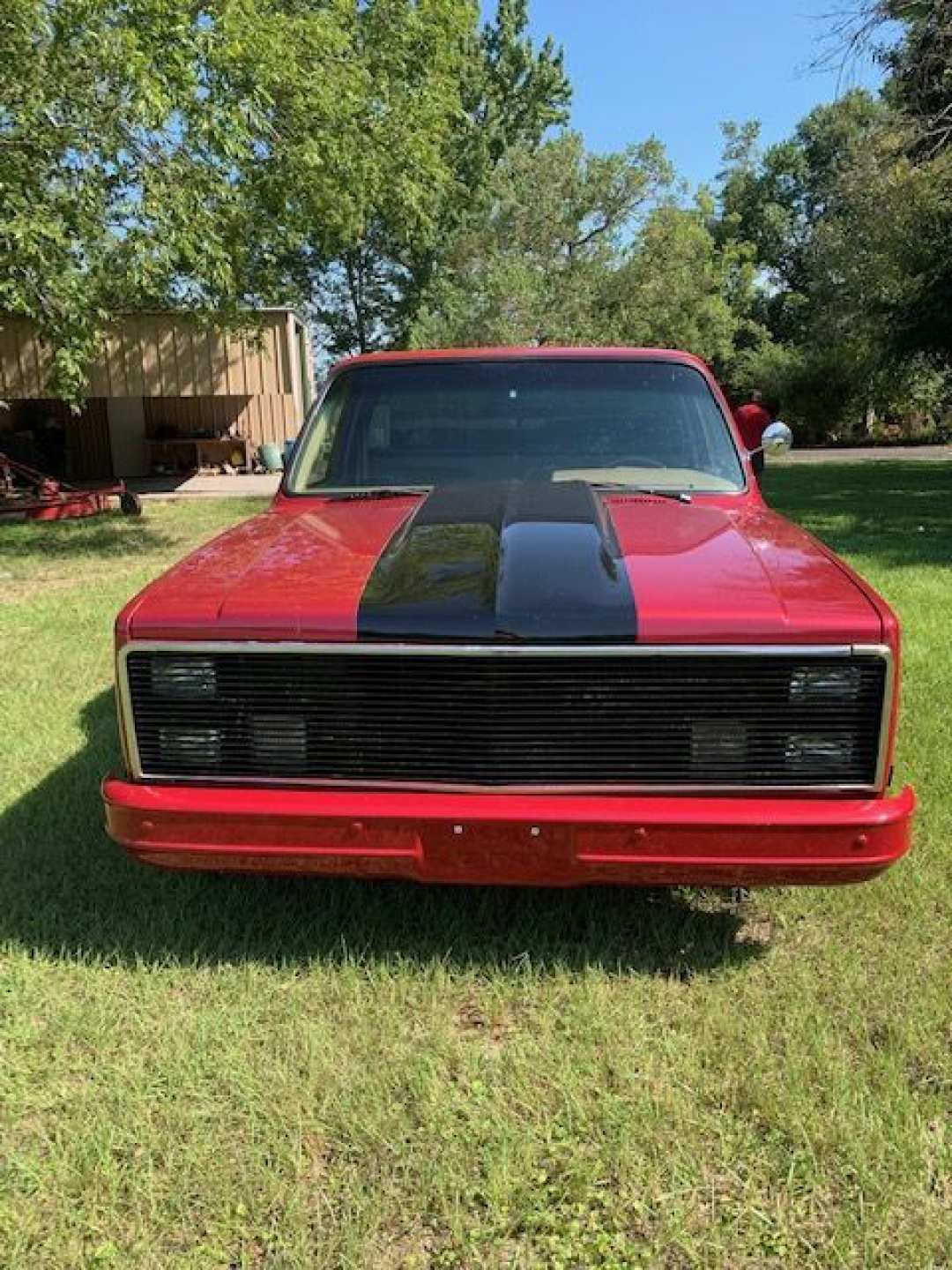 7th Image of a 1981 CHEVROLET C10