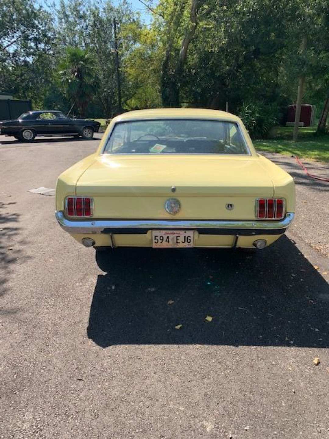 3rd Image of a 1966 FORD MUSTANG