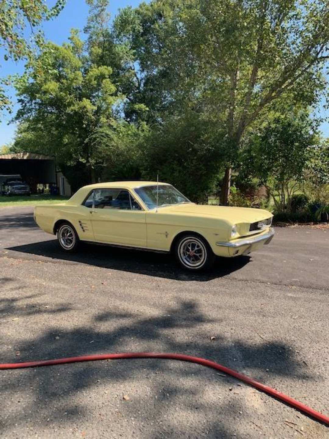 5th Image of a 1966 FORD MUSTANG