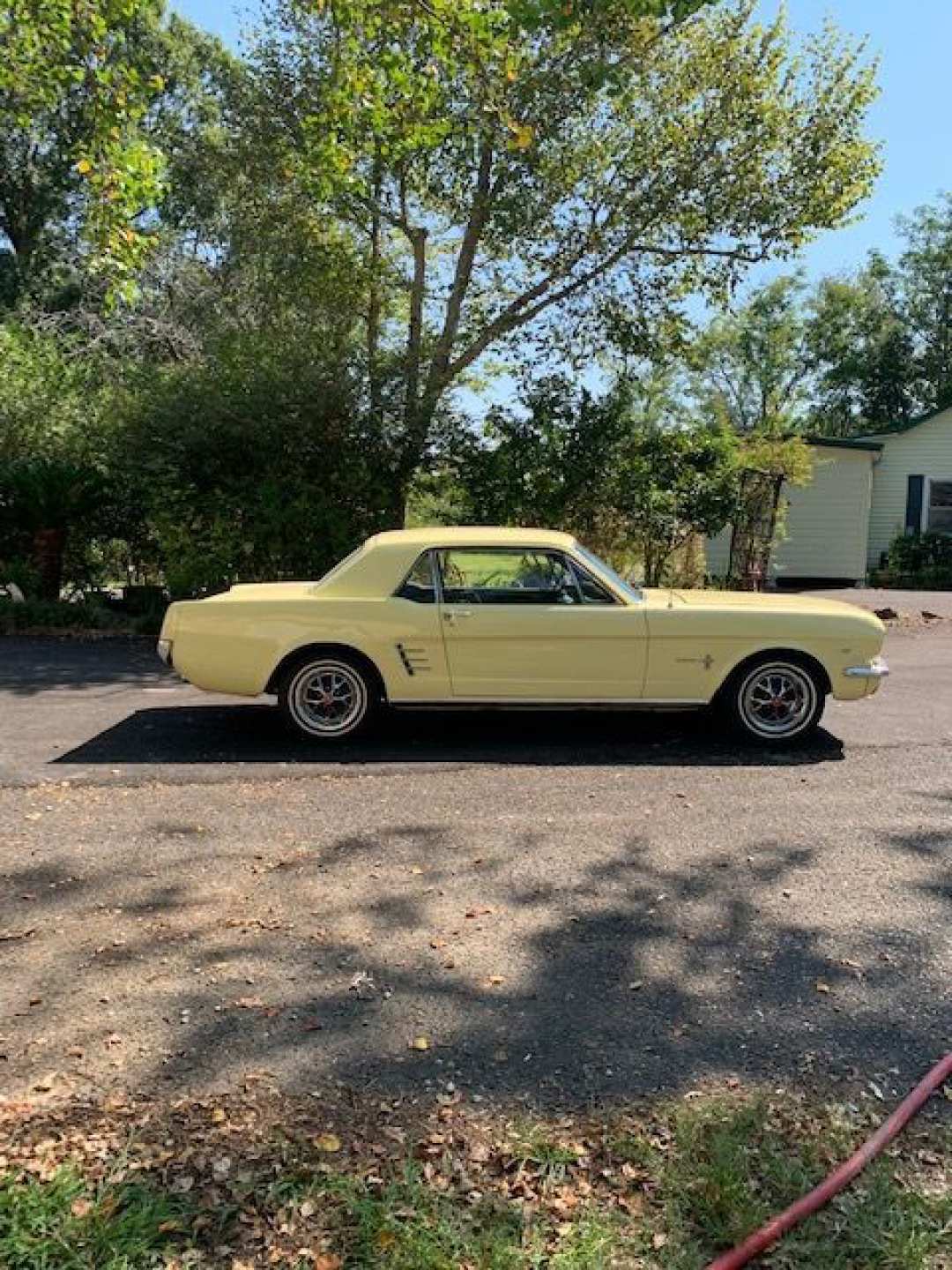 6th Image of a 1966 FORD MUSTANG