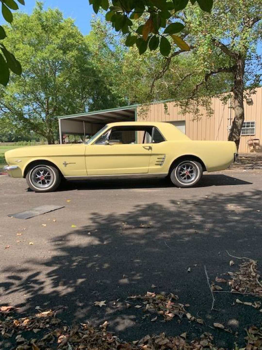 7th Image of a 1966 FORD MUSTANG