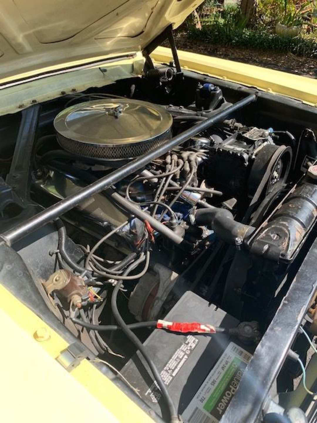 13th Image of a 1966 FORD MUSTANG