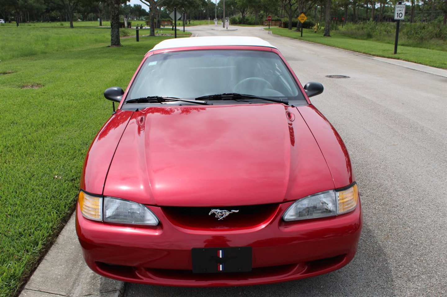 10th Image of a 1996 FORD MUSTANG GT