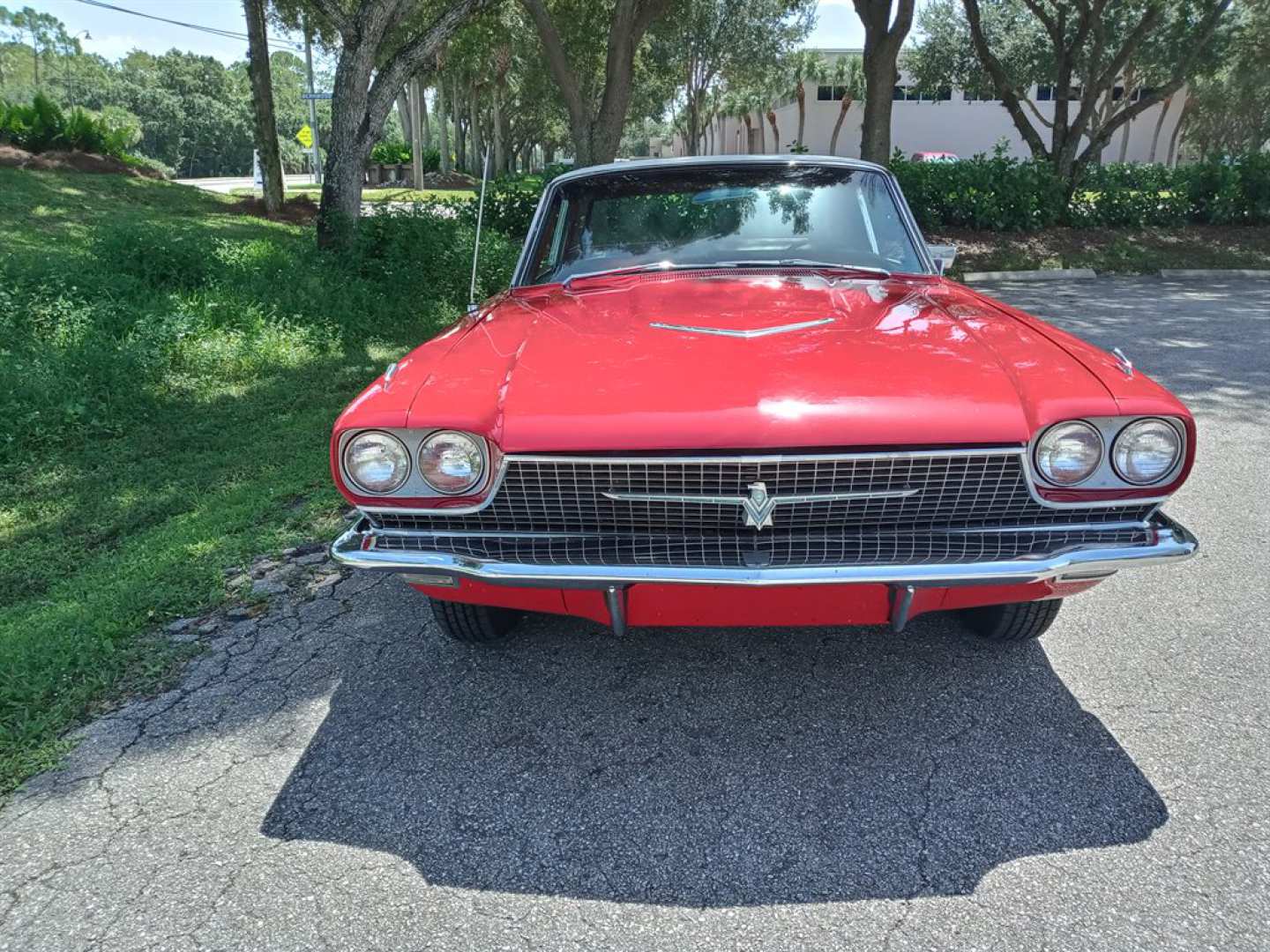 2nd Image of a 1966 FORD THUNDERBIRD