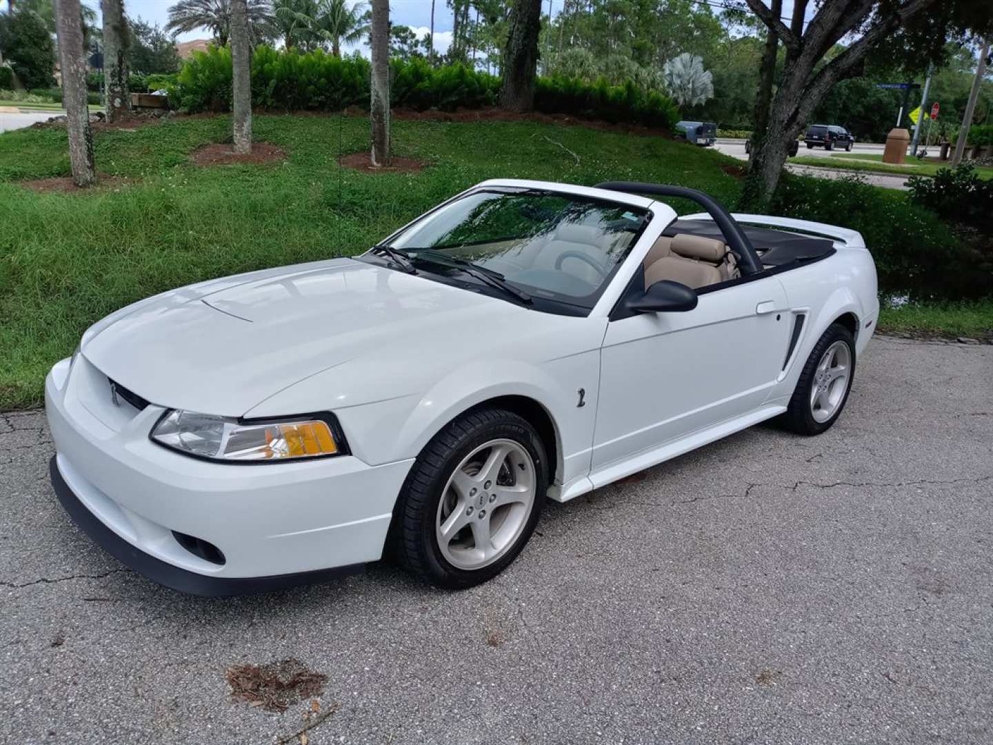 0th Image of a 1999 FORD MUSTANG COBRA