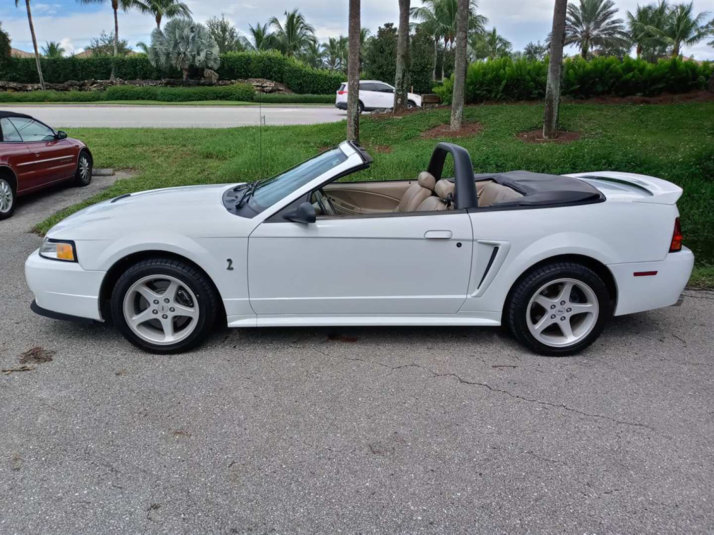 1st Image of a 1999 FORD MUSTANG COBRA