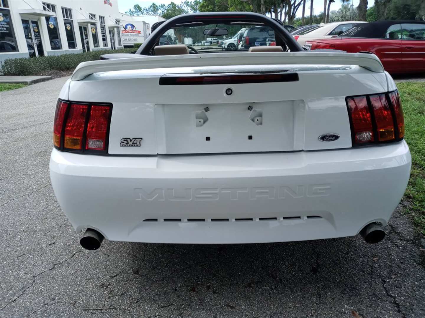 2nd Image of a 1999 FORD MUSTANG COBRA