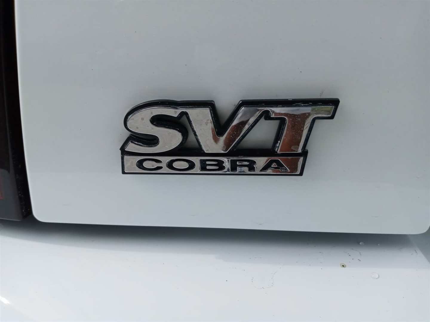 3rd Image of a 1999 FORD MUSTANG COBRA