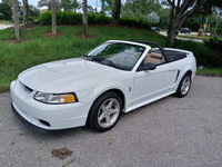 Image 1 of 18 of a 1999 FORD MUSTANG COBRA