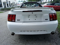 Image 3 of 18 of a 1999 FORD MUSTANG COBRA