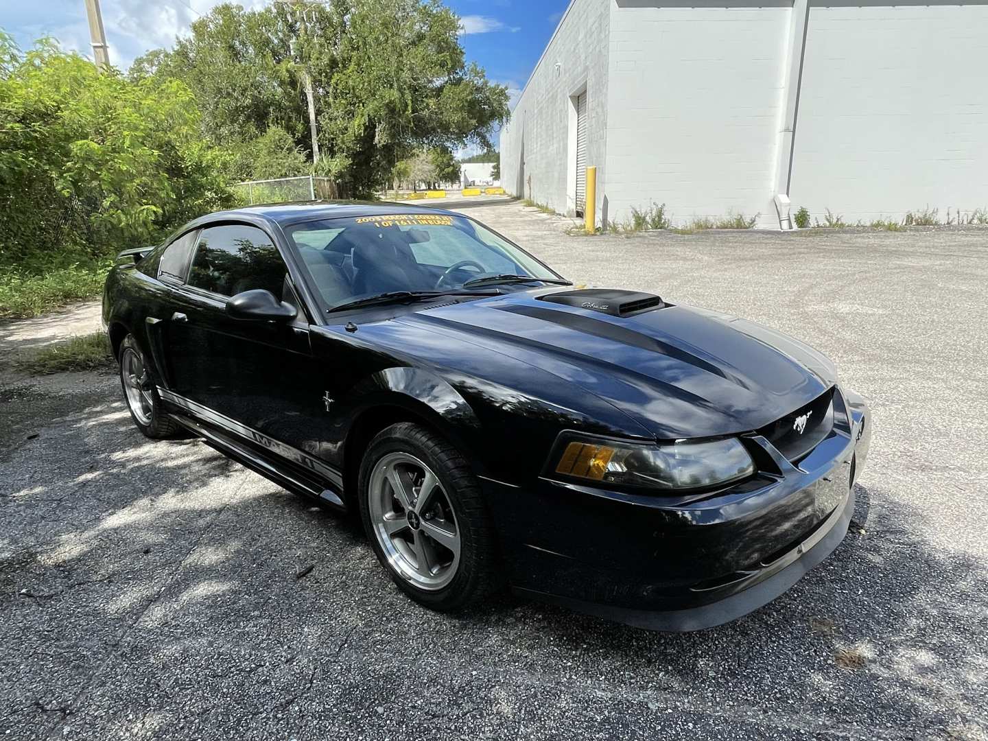 0th Image of a 2003 FORD MUSTANG MACH 1