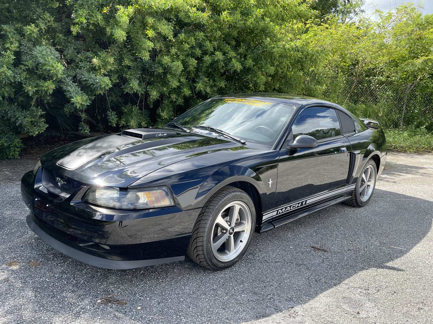1st Image of a 2003 FORD MUSTANG MACH 1