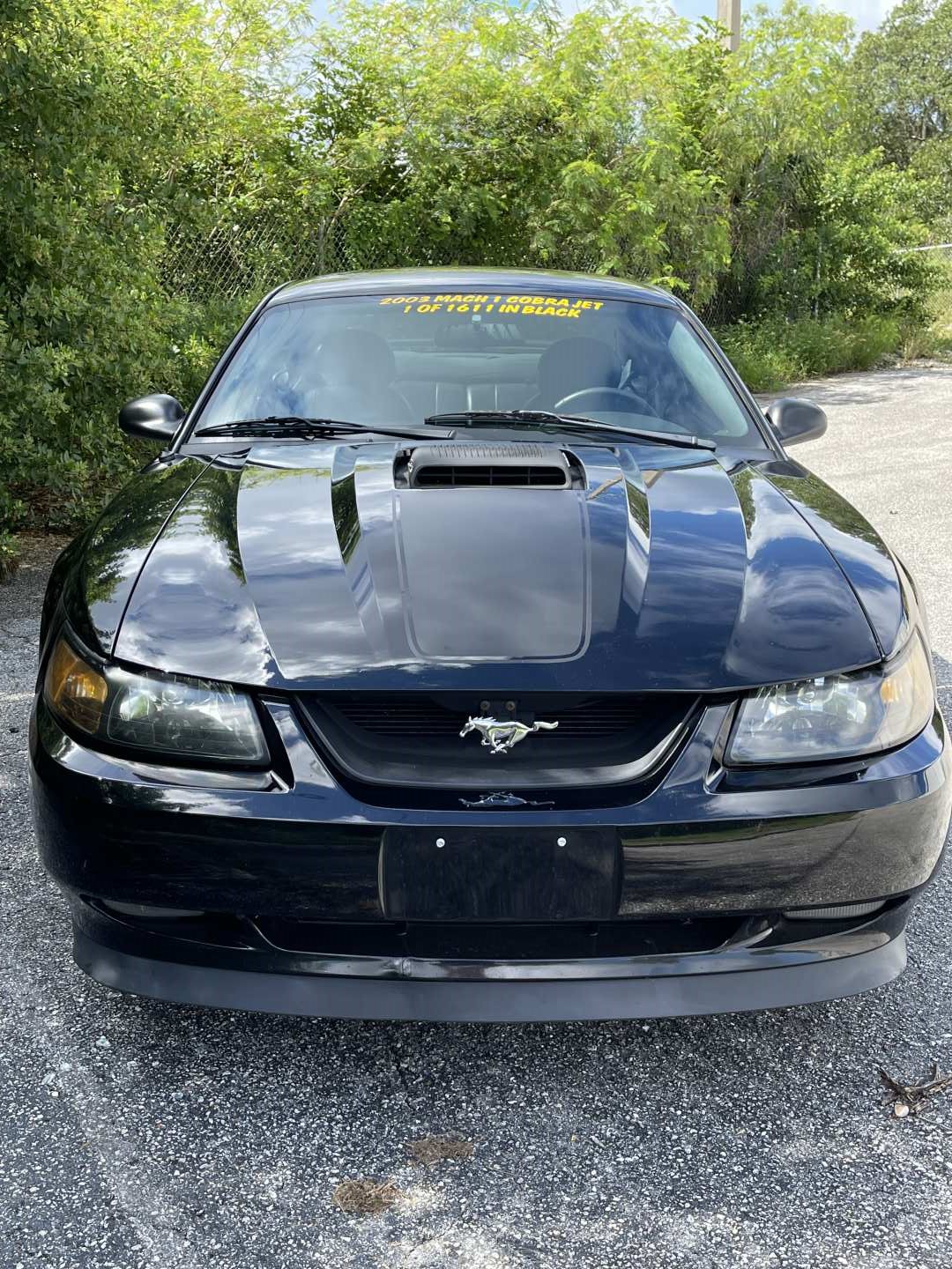 2nd Image of a 2003 FORD MUSTANG MACH 1