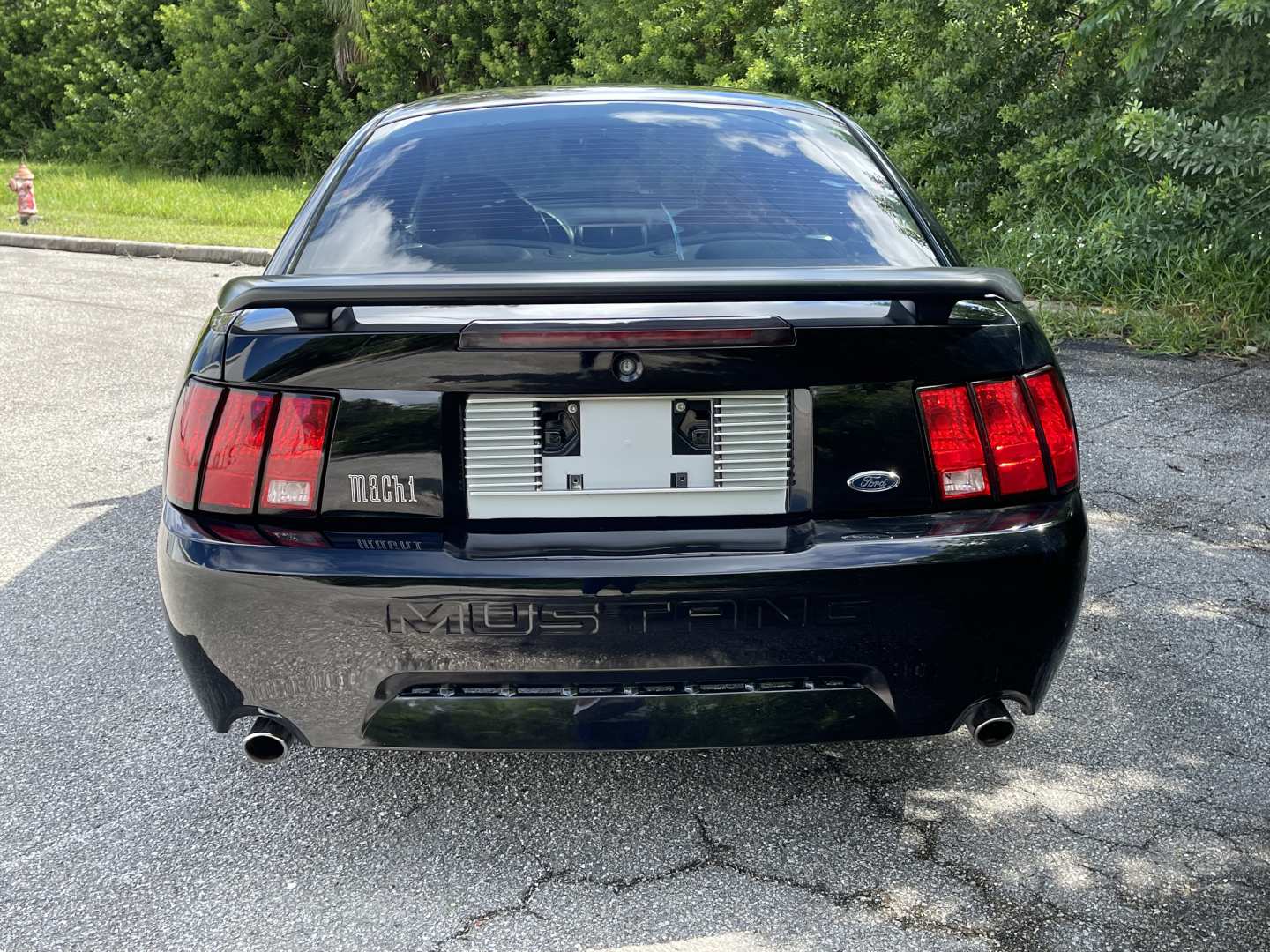 3rd Image of a 2003 FORD MUSTANG MACH 1