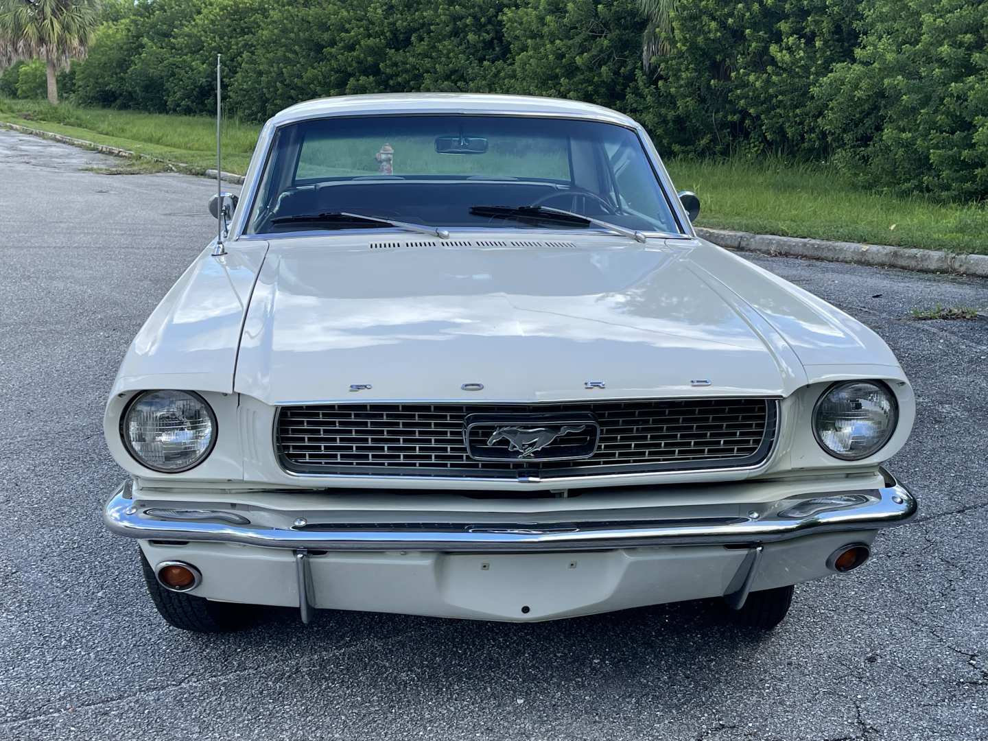 0th Image of a 1966 FORD MUSTANG