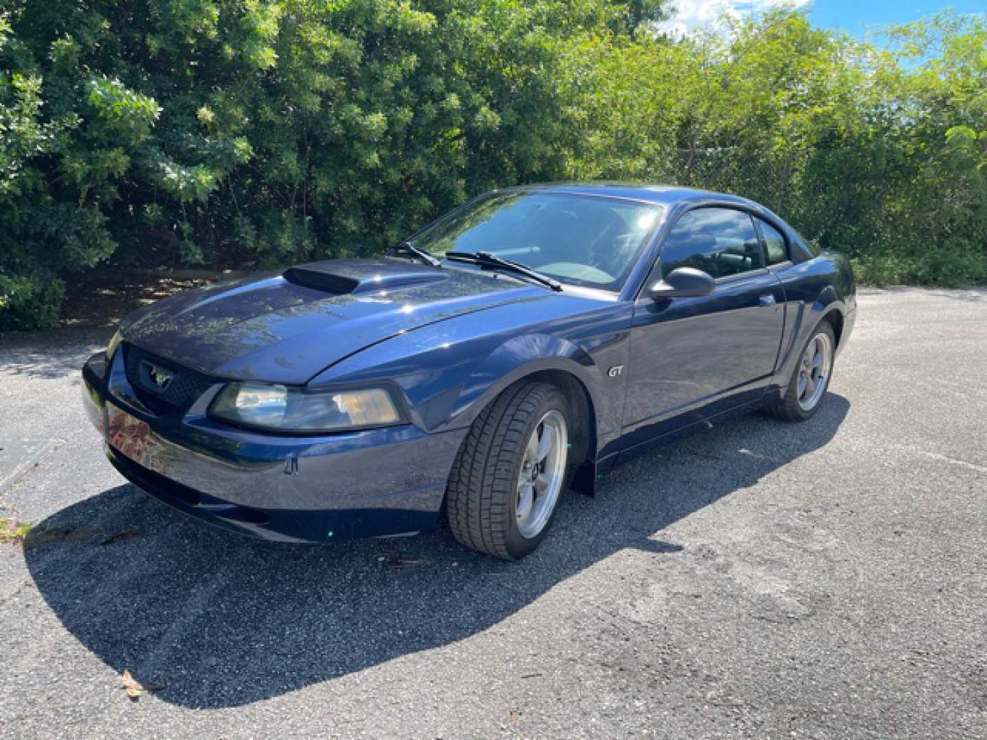 0th Image of a 2001 FORD MUSTANG