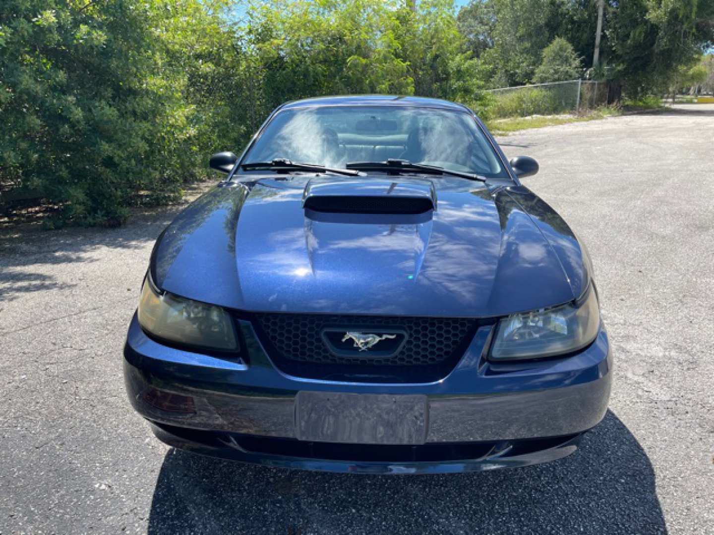 2nd Image of a 2001 FORD MUSTANG