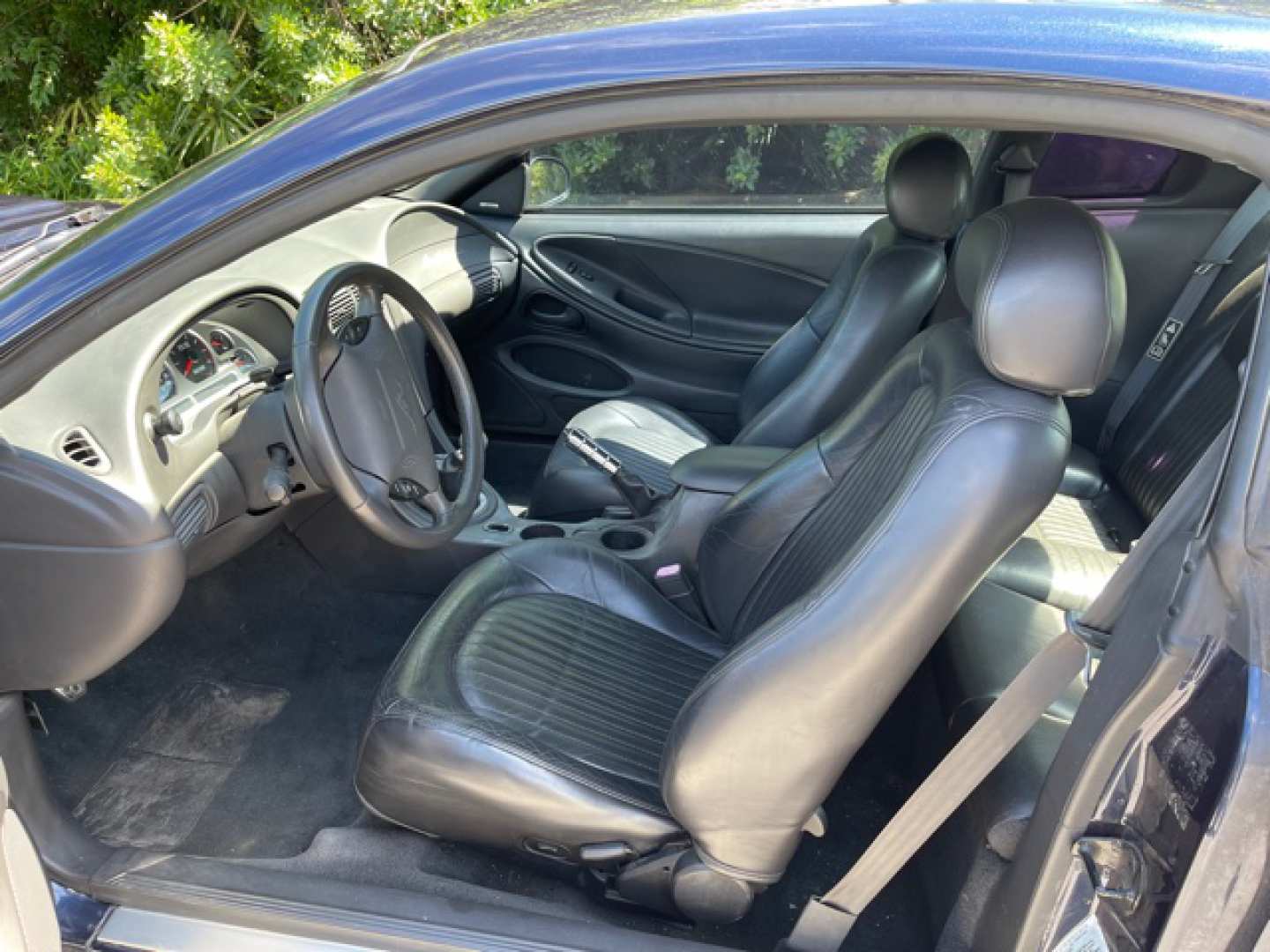 4th Image of a 2001 FORD MUSTANG