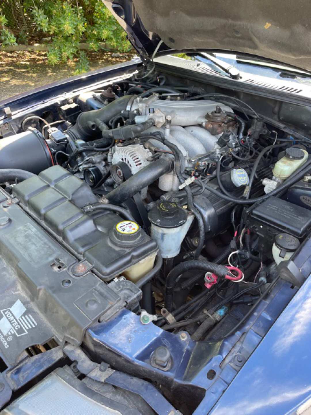 5th Image of a 2001 FORD MUSTANG