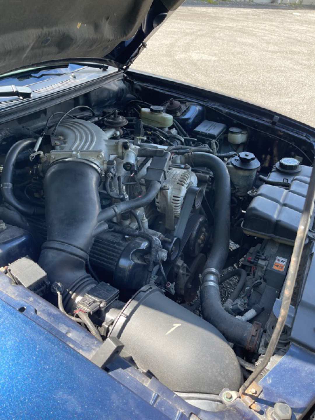 6th Image of a 2001 FORD MUSTANG