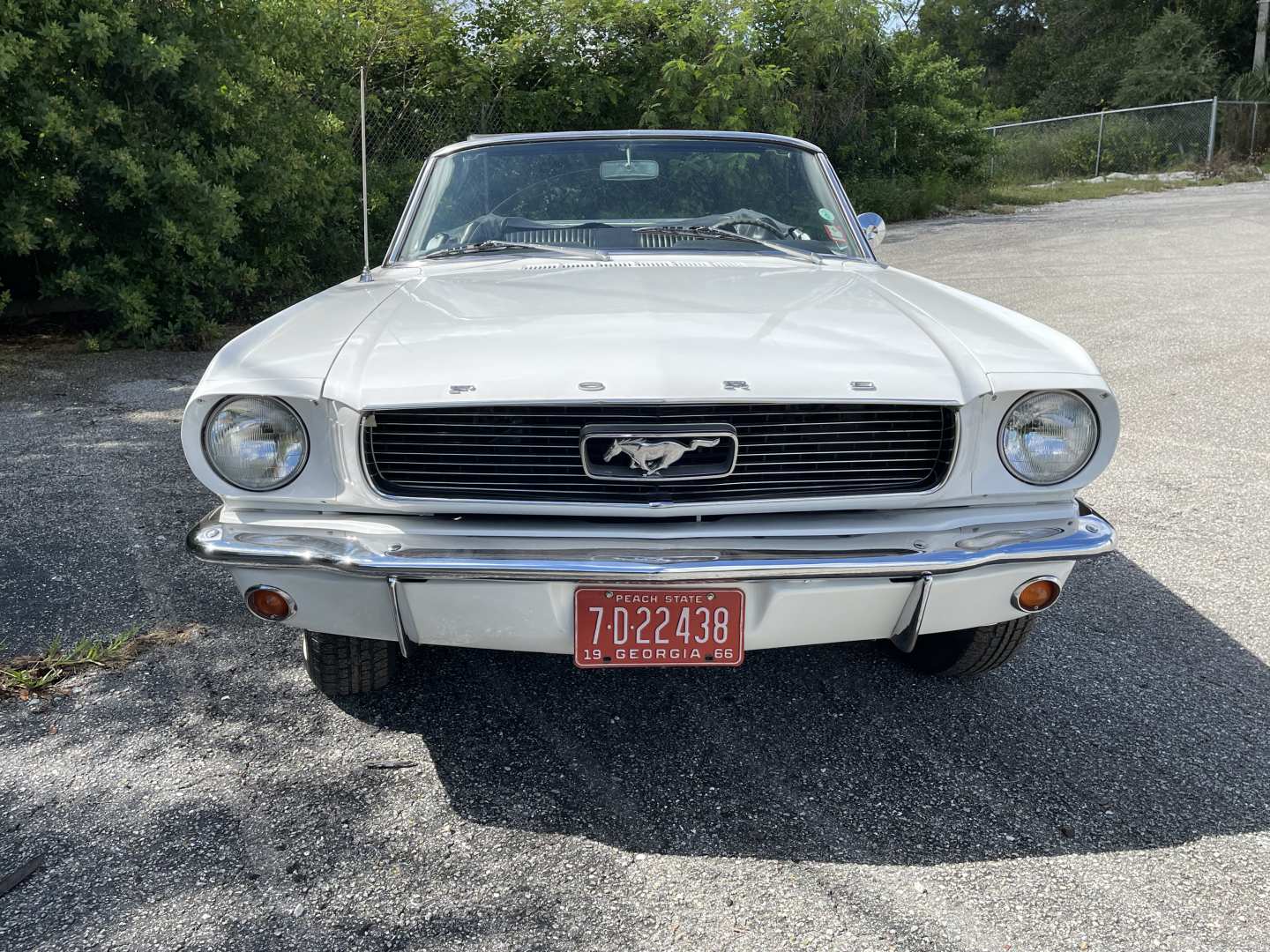 1st Image of a 1966 FORD MUSTANG