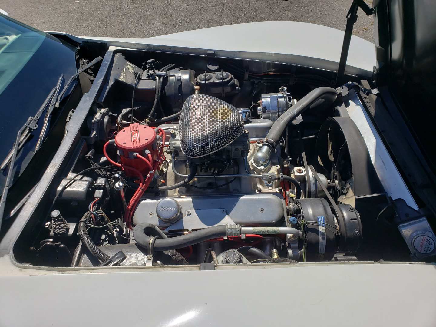 8th Image of a 1978 CHEVROLET CORVETTE